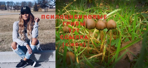 a pvp Балабаново