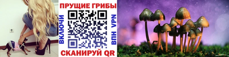 сайты даркнета как зайти Волгореченск Галлюциногенные грибы Magic Shrooms